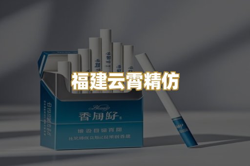 福建云霄精仿